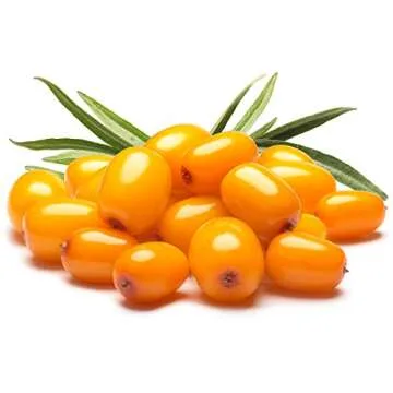 US Organic Sea Buckthorn Berry (Fruit) Oil, Supercritical CO2 extracted, USDA Certified Organic,100% Pure Virgin, Unrefined in Amber Glass Bottle, Face, Hair, spot Treatment, Anti Aging, 2 oz (56 ml)