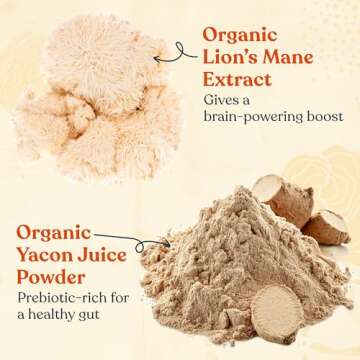 Four Sigmatic Cold Brew Coffee Grounds with Lion's Mane