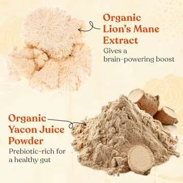 Four Sigmatic Cold Brew Coffee Grounds with Lion's Mane