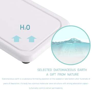 NiuYichee Set of 6 Bathtub Vanity Trays, with Ceramic Toothbrush Holder, Diatomaceous Earth Coasters, Kitchen Soap Tray, Water Absorbing Stone Used for Hand Soap & Cosmetic Bottles