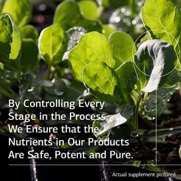 Standard Process Inc. Congaplex, Thymus Gland Support Supplement, Support Immune Health with Calcium Lactate, Magnesium, Vitamin C & Vitamin A, Immune System Aid with Mushroom Powder - 90 Capsules