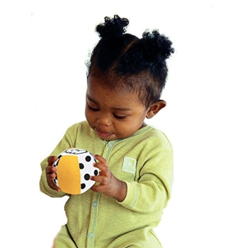 Wimmer-Ferguson Mind-Shapes Sensory Toy for Infants