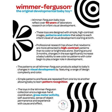 Wimmer-Ferguson Mind-Shapes Sensory Toy for Infants