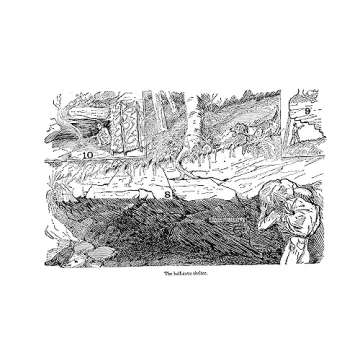 Classic Guide to Building Wilderness Shelters