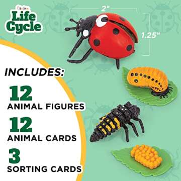 Life Cycle Science Kit Montessori Realistic Figurine, Kids Animal Matching Game with Frog, Ladybug a...