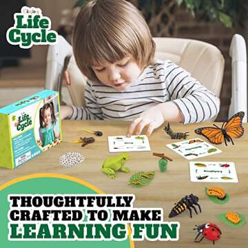 Life Cycle Science Kit Montessori Realistic Figurine, Kids Animal Matching Game with Frog, Ladybug and More Includes 12 Piece, Fun Learning Education Toys Stocking Stuffers for Children 3 4 5 6 7 8