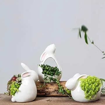 Cute Rabbit Succulent Pot - White Ceramic Plant Holder