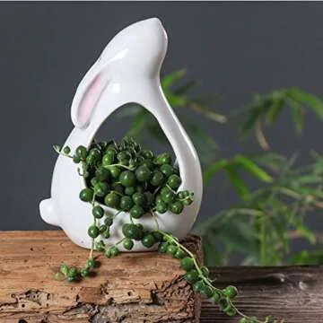 Cute Rabbit Succulent Pot - White Ceramic Plant Holder