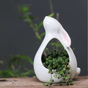 Cute Rabbit Succulent Pot - White Ceramic Plant Holder
