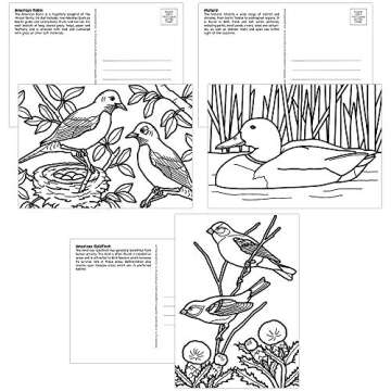 Colorpix Postcards to Color and Send - Postcards & Markers (Birds)