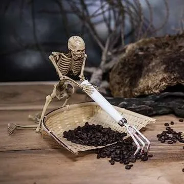 Halloween Skeleton Decorations - 5 Pack Posable Skeletons