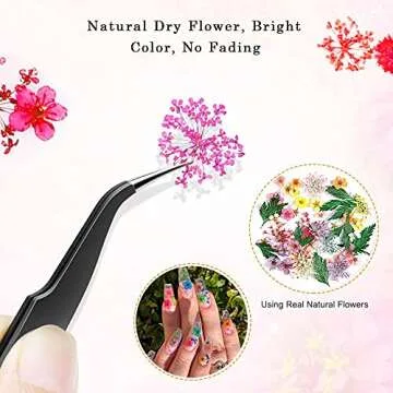 LPOne 2 Boxes 3D Nail Mini Dried Flowers Sticker Nail Art Resin Craft DIY,Real Natural Dried Flowers, Five Petal Flower Leaf Gypsophila Dry Flower Nail Art Decoration Kits., box 5.12 x 1.97 inches