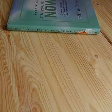 Practicing the Power of Now: Essential Teachings, Meditations, and Exercises From The Power of Now