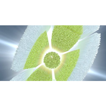 Philips Sonicare W DiamondClean Replacement Brush Heads