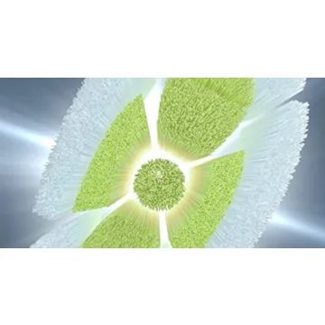 Philips Sonicare W DiamondClean Replacement Brush Heads