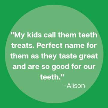 Zellie's | 100% Xylitol Sugar Free Spearmint Chewing Gum | Spearmint Flavor (240 Count - Pack of 1)