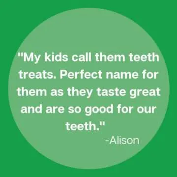 Zellie's | 100% Xylitol Sugar Free Spearmint Chewing Gum | Spearmint Flavor (240 Count - Pack of 1)