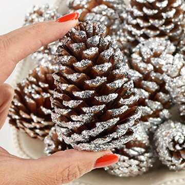 Pack of 14 Assorted Silver Glitter Natural Dried Pine Cones - Woodland Pinecones for Christmas Holiday DIY Crafts and Decorations