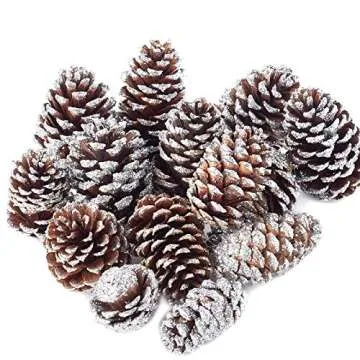 Pack of 14 Assorted Silver Glitter Natural Dried Pine Cones - Woodland Pinecones for Christmas Holiday DIY Crafts and Decorations