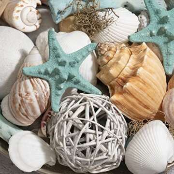 ANDALUCA Ocean Plumes Scented Seashell Potpourri Made in California Large 20 oz Bag Fragrance Vial Scents of Orange, Lime, Bergamot, Lily, Rose and Tonka Coastal Home Decor