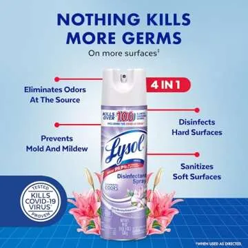 Lysol Disinfectant Spray, Sanitizing and Antibacterial Spray, For Disinfecting and Deodorizing, Early Morning Breeze, 1 Count, 12.5 fl oz each, Packaging may vary