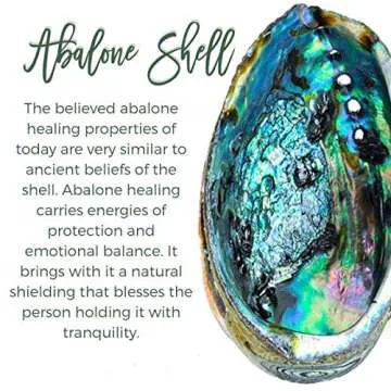 Tear Drop Abalone Tree of Life Necklace - Wire Wrap Abalone Shell Tree of Life Healing Crystal Pendant Necklace Fashion Rose Gold Plated Necklace Jewelry for Women