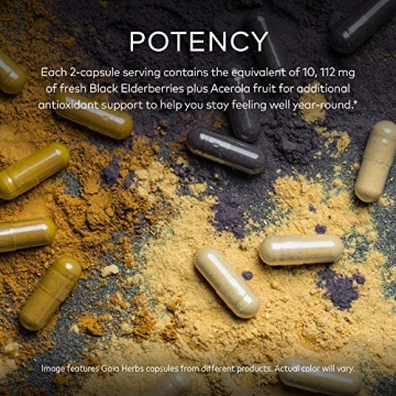 Gaia Herbs Black Elderberry Vegan Capsules for Immunity