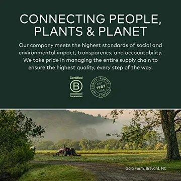 Gaia Herbs Black Elderberry Vegan Capsules for Immunity