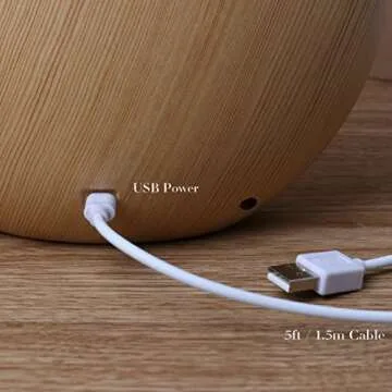 Mamre Moonlight Shadows Lamp for Romantic Gift Ideas