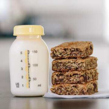 Bessie’s Best Lactation Cookies | Lactation Support | Oatmeal Peanut Butter Chocolate Chip | Incre...