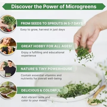 Non-GMO Broccoli Microgreens Seeds Kit for Home Gardening