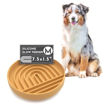 Should We Go? - The Slowdown Bowl - Silicone Slow Feeder for Dogs & Puppies, Slow Eating, Modern Lic...