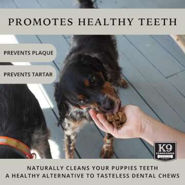 K9 Connoisseur Low to Odor Free Slow Roasted Beef Lung Dog Treats Made in USA, One Ingredient Dog Treats & All Natural, Grain Free Treat for All Breeds & Sizes - 2.5 Pounds