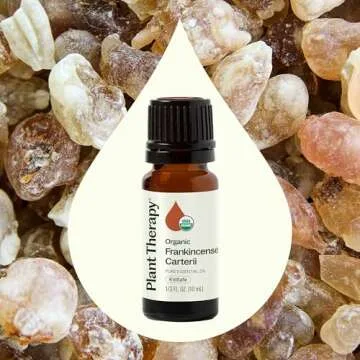 Plant Therapy Organic Frankincense Carterii Essential Oil 100% Pure, USDA Certified Organic, Undiluted, Natural Aromatherapy, Therapeutic Grade 10 mL (1/3 oz)