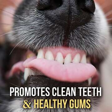 Natural 12" Bully Sticks - Premium Chews for All Dogs