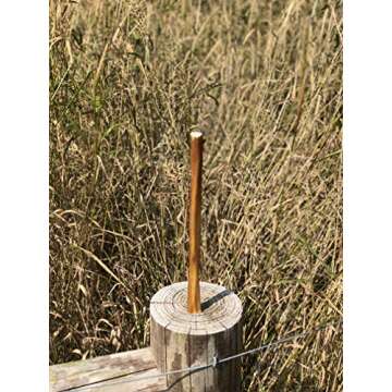 Natural 12" Bully Sticks - Premium Chews for All Dogs