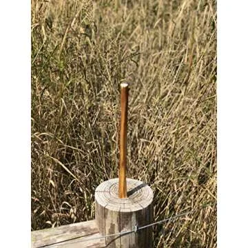 Natural 12" Bully Sticks - Premium Chews for All Dogs