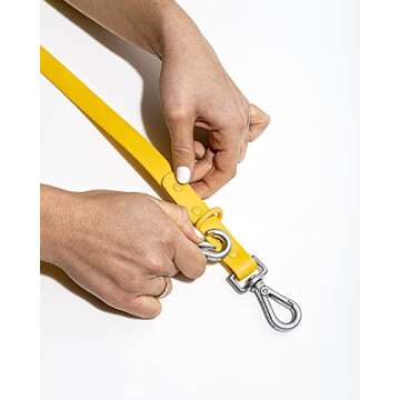 Wild One Leash - Small - Butter