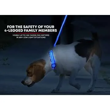 Illumiseen LED Dog Collar USB Rechargeable - Bright & High Visibility Lighted Glow Collar for Pet Ni...