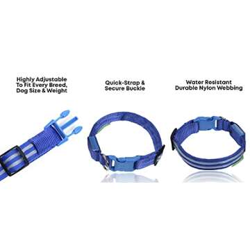Illumiseen LED Dog Collar - Bright & Rechargeable Pet Safety Glow Neckwear