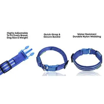 Illumiseen LED Dog Collar - Bright & Rechargeable Pet Safety Glow Neckwear