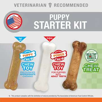 Nylabone New Puppy Starter Kit, 2 Chew Toys and 1 Natural Treat for Puppies, Bacon & Chicken Flavor, Small - Up to 25 lbs, 3 Pack
