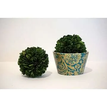Tradingsmith Preserved Boxwood Ball - 4 Inch Decor