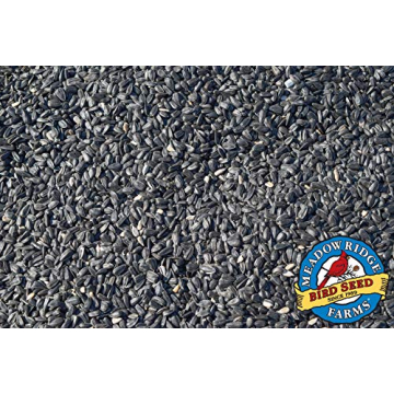 Meadow Ridge Farms Black Oil Sunflower Seed for Birds