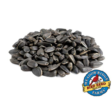 Meadow Ridge Farms Black Oil Sunflower Seed for Birds