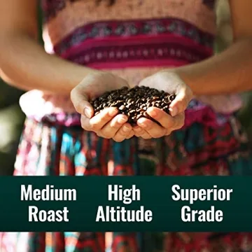 Organic Clean Coffee & MCT Oil Bundle – 100% Pure Energy