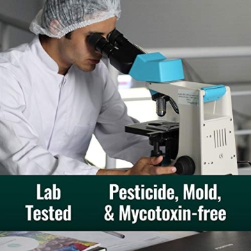 Organic Clean Coffee & MCT Oil Bundle – 100% Pure Energy