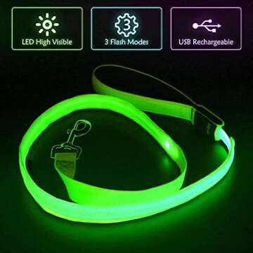 BSEEN LED Dog Leash - High Visibility Safety Leash for Dogs