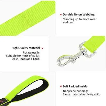BSEEN LED Dog Leash - High Visibility Safety Leash for Dogs