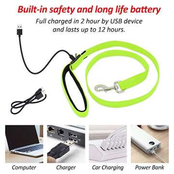 BSEEN LED Dog Leash - High Visibility Safety Leash for Dogs